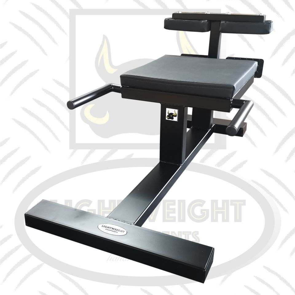 Nordic Curl - immagine 2